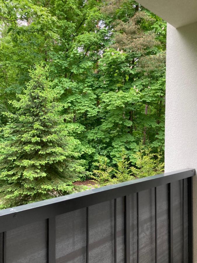 Apartament 221 Przy Niedzwiadku Polanica-Zdroj Bagian luar foto